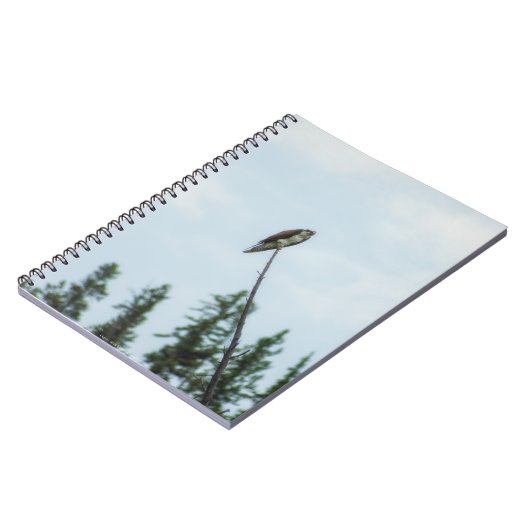 Osprey 9028 notizblock (Linke Seite)