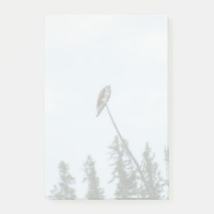 Osprey 9028 post-it klebezettel