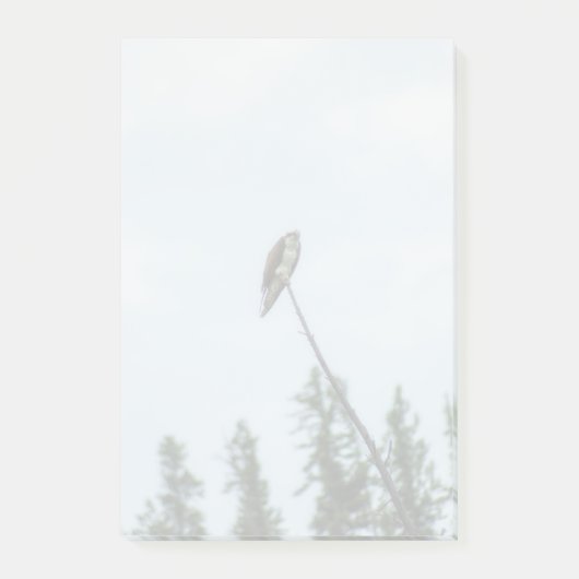 Osprey 9028 post-it klebezettel (Vorderseite)