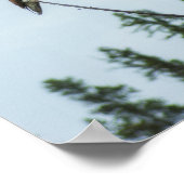 Osprey 9028 poster (Ecke)