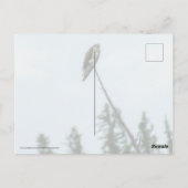 Osprey 9028 postkarte (Rückseite)