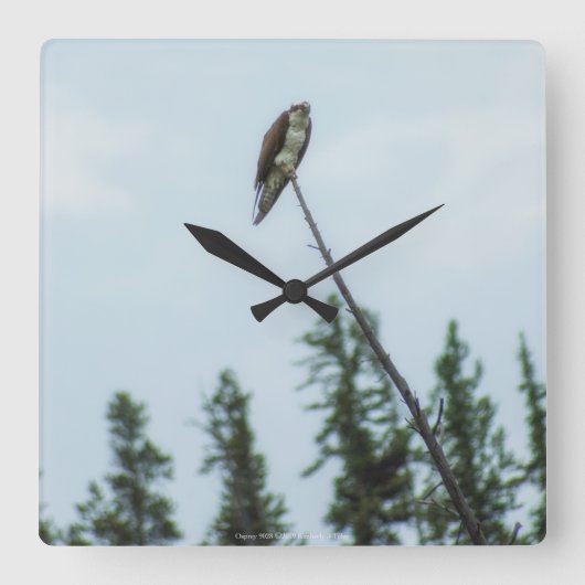 Osprey 9028 quadratische wanduhr (Vorderseite)