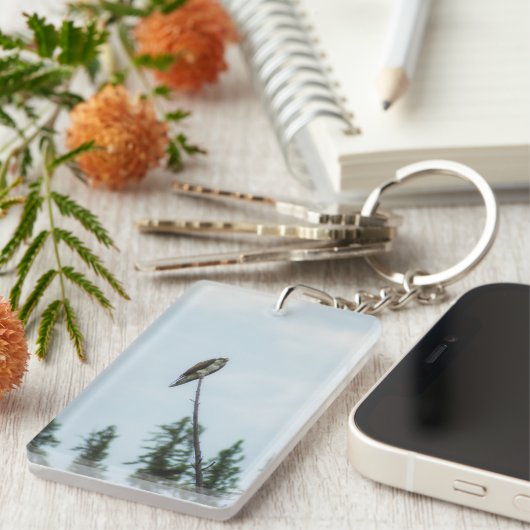 Osprey 9028 schlüsselanhänger (Vorderseite rechts)