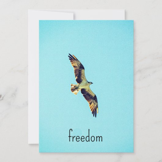 Osprey Art Dankeskarte (Vorderseite)