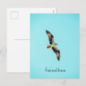 Osprey Art Feiertagspostkarte (Vorne/Hinten)