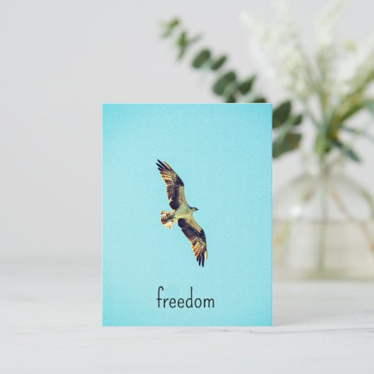 Osprey Art Postkarte (Stehend Vorderseite)