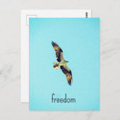 Osprey Art Postkarte (Vorne/Hinten)