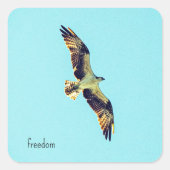 Osprey Art Quadratischer Aufkleber (Vorderseite)