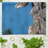 Osprey auf den Felsen Handtuch (Gefaltet)