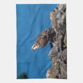 Osprey auf den Felsen Handtuch (Vertikal)