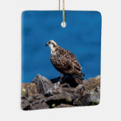 Osprey auf den Felsen Keramikornament (Rechts)