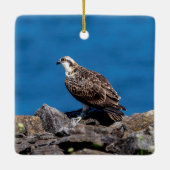 Osprey auf den Felsen Keramikornament (Rückseite)