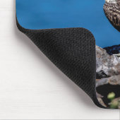 Osprey auf den Felsen Mousepad (Ecke)