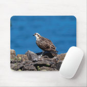 Osprey auf den Felsen Mousepad (Mit Mouse)
