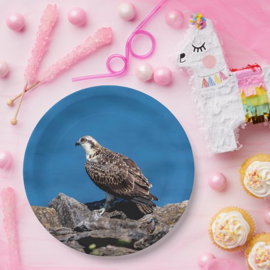 Osprey auf den Felsen Pappteller (Party)