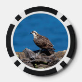 Osprey auf den Felsen Pokerchips (Rückseite)