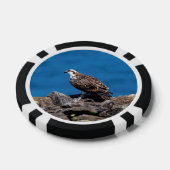 Osprey auf den Felsen Pokerchips (Einzeln)