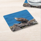 Osprey auf den Felsen Rechteckiger Pappuntersetzer (angewinkelt)