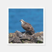 Osprey auf den Felsen Serviette (Vorderseite)