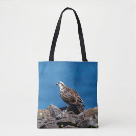 Osprey auf den Felsen Tasche