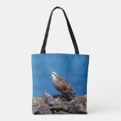 Osprey auf den Felsen Tasche (Rückseite)