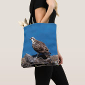 Osprey auf den Felsen Tasche (Von Nahem)