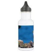 Osprey auf den Felsen Trinkflasche (Links)