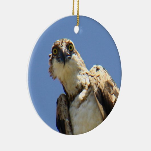 Osprey-Aufpassen Keramikornament (Rechts)