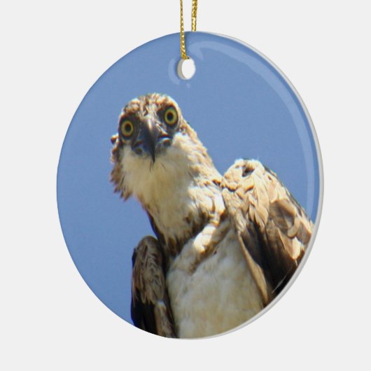 Osprey-Aufpassen Keramikornament (Links)