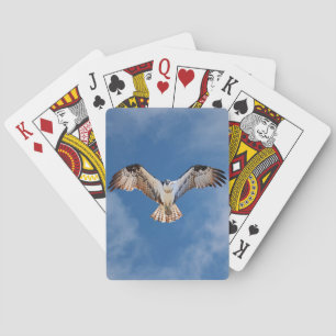 Osprey Bicycle Playing Cards Spielkarten