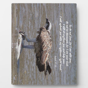 Osprey Bird Fish Wildlife Isaiah Foto Plaque Fotoplatte