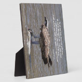 Osprey Bird Fish Wildlife Isaiah Foto Plaque Fotoplatte (Seite)
