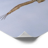 Osprey Bird Flying Poster (Ecke)