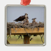 Osprey Bird Nest Ornament (Vorne)