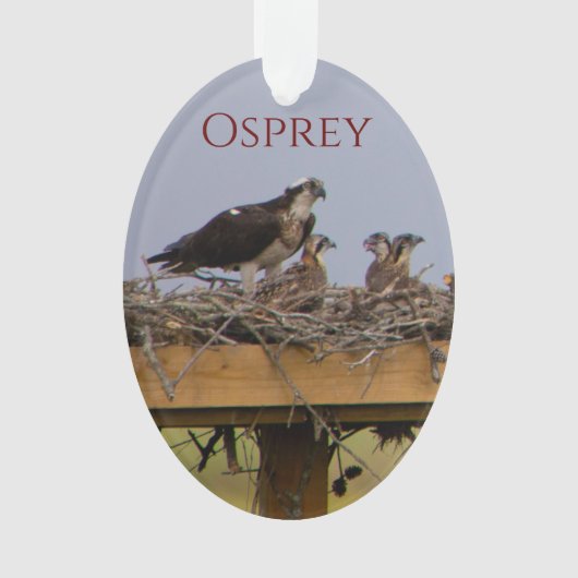 Osprey Bird Nest Ornament (Vorderseite)