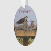 Osprey Bird Nest Ornament (Vorderseite)