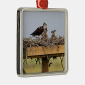 Osprey Bird Nest Ornament Aus Metall (Rechts)