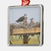 Osprey Bird Nest Ornament Aus Metall (Links)