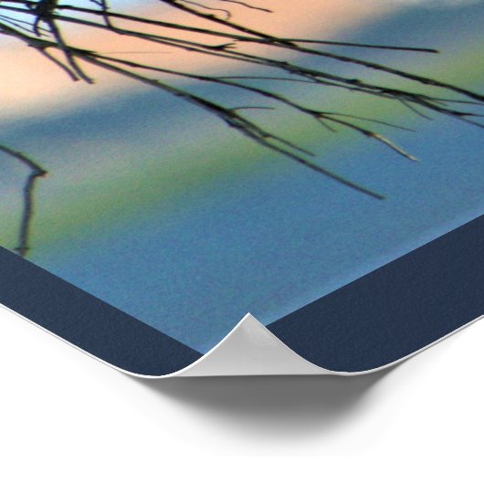 Osprey Bird Nest Poster (Ecke)