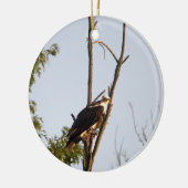 Osprey Bird Ornament (Links)