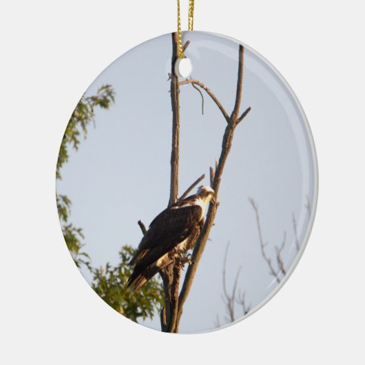 Osprey Bird Ornament (Links)