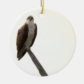 Osprey Bird Ornament (Vorne)