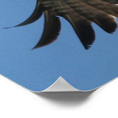 Osprey Bird Spirit of the LORD Print Poster (Ecke)