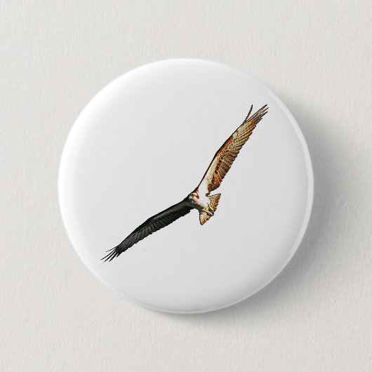Osprey Button (Vorderseite)