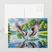 Osprey Catching Fish in River Feiertagspostkarte (Vorne/Hinten)