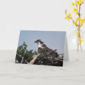 Osprey, der auf Nest-Gruß-Karte sitzt Karte (Gelbe Blume)