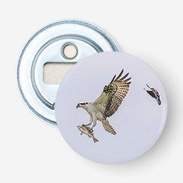 Osprey, der durch eine rotgeflügelte Amsel gejagt Flaschenöffner