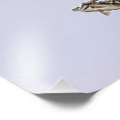 Osprey, der durch eine rotgeflügelte Amsel gejagt Fotodruck (Ecke)