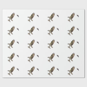 Osprey, der durch eine rotgeflügelte Amsel gejagt Geschenkpapier