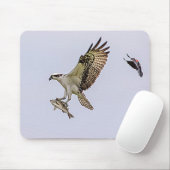 Osprey, der durch eine rotgeflügelte Amsel gejagt Mousepad (Mit Mouse)